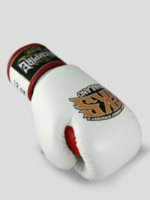 Boxing Gloves