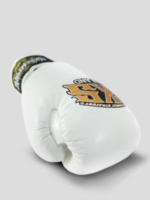Glove Intro Page