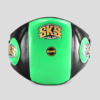 MUAY THAI BELLY PADS