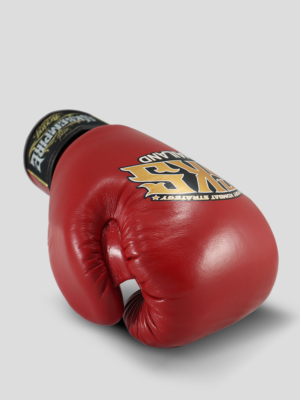 Boxing Gloves