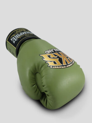 Boxing Gloves
