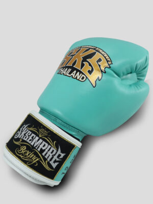SKS Velcro Boxing Gloves (Biscay)