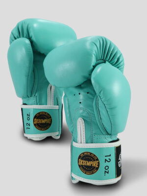 SKS Velcro Boxing Gloves (Biscay)